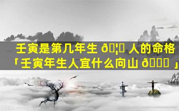 壬寅是第几年生 🦈 人的命格「壬寅年生人宜什么向山 🐝 」